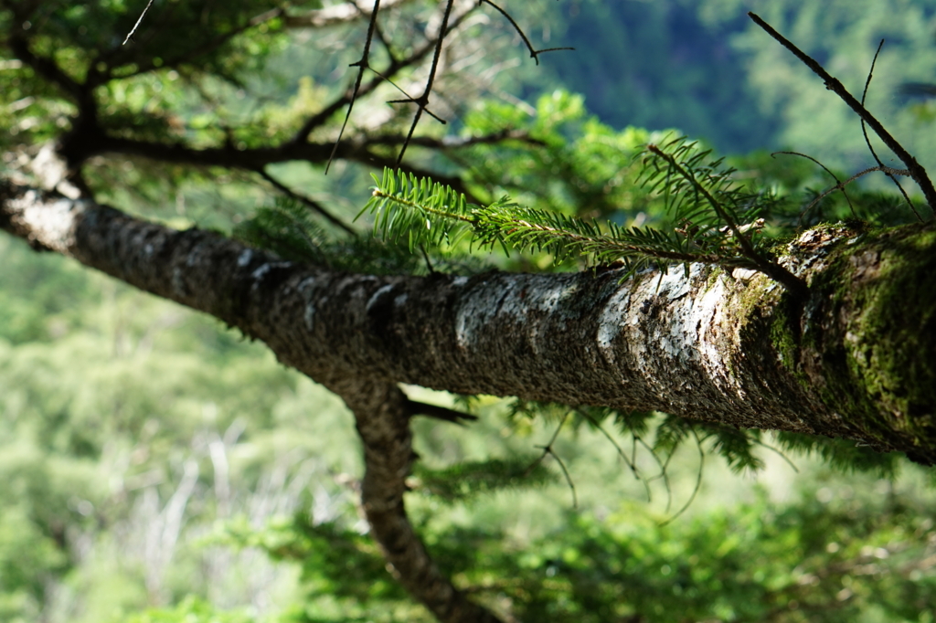 f:id:taroandjiro:20170814114816j:plain f:id:taroandjiro:20170814114816j:plain