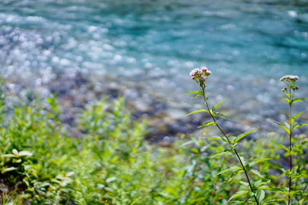 f:id:taroandjiro:20170814114851j:plain f:id:taroandjiro:20170814114851j:plain