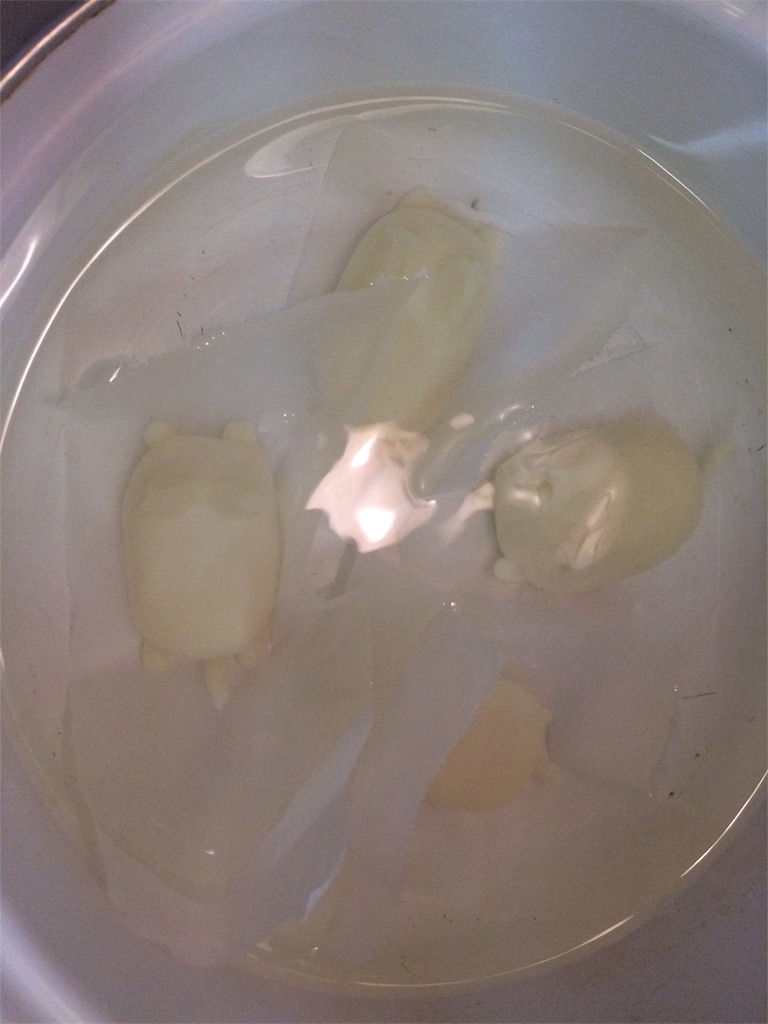 f:id:taroandjiro:20170918165928j:image f:id:taroandjiro:20170918165928j:image