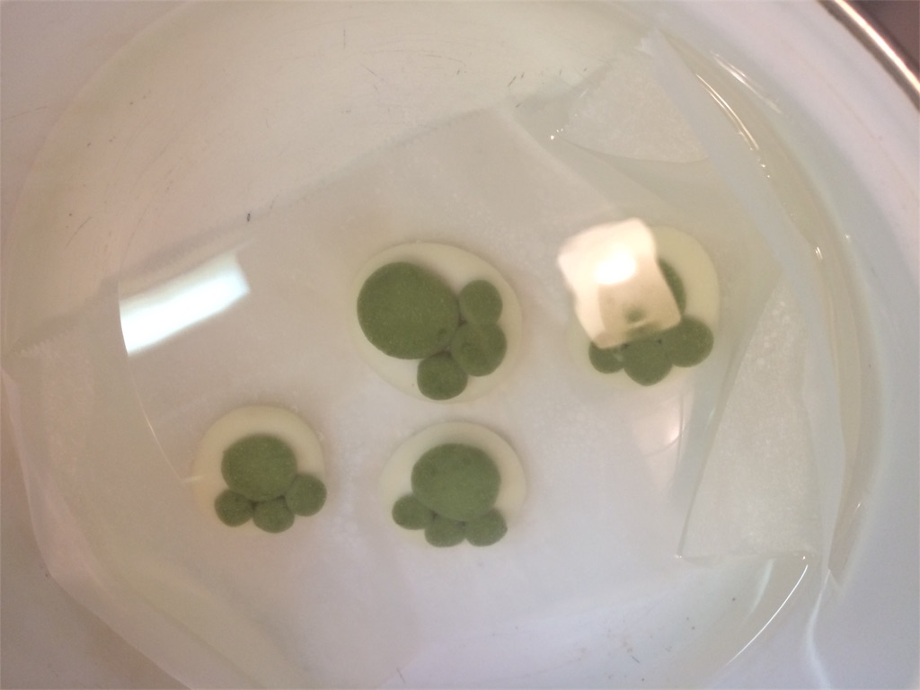 f:id:taroandjiro:20170918170034j:image f:id:taroandjiro:20170918170034j:image