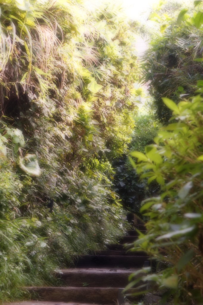 f:id:taroandjiro:20171009210442j:plain f:id:taroandjiro:20171009210442j:plain