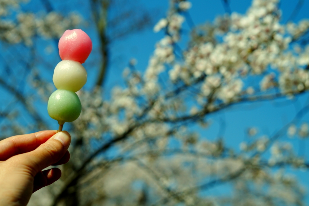 f:id:taroandjiro:20180401124612j:plain f:id:taroandjiro:20180401124612j:plain