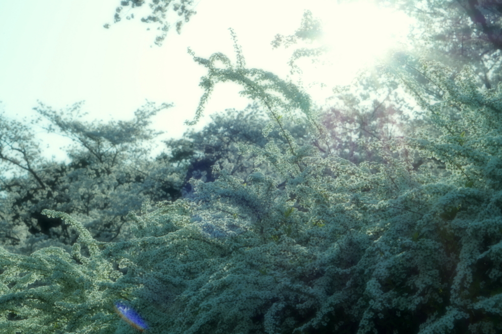 f:id:taroandjiro:20180401130052j:plain f:id:taroandjiro:20180401130052j:plain