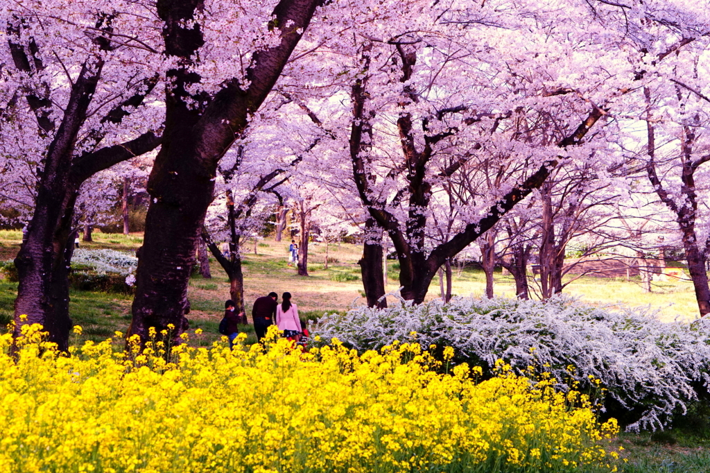 f:id:taroandjiro:20180401130341j:plain f:id:taroandjiro:20180401130341j:plain