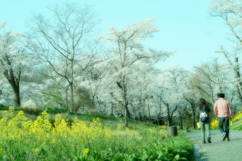 f:id:taroandjiro:20180401130622j:plain f:id:taroandjiro:20180401130622j:plain