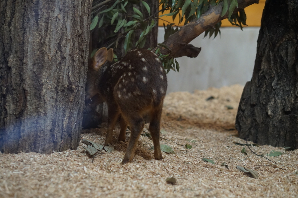 f:id:taroandjiro:20180701221443j:plain f:id:taroandjiro:20180701221443j:plain