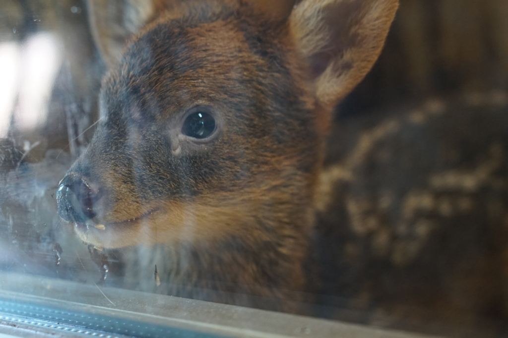 f:id:taroandjiro:20180701222513j:plain f:id:taroandjiro:20180701222513j:plain