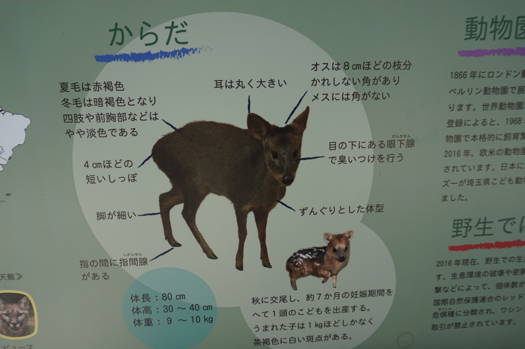 f:id:taroandjiro:20180701222614j:plain f:id:taroandjiro:20180701222614j:plain