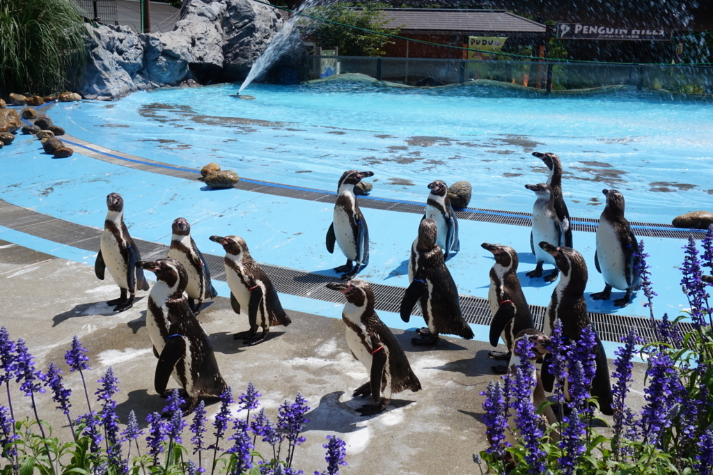 f:id:taroandjiro:20180701223734j:plain f:id:taroandjiro:20180701223734j:plain