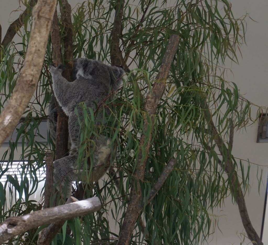 f:id:taroandjiro:20180701224108j:plain f:id:taroandjiro:20180701224108j:plain