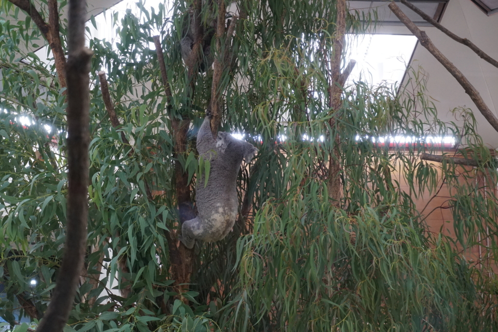 f:id:taroandjiro:20180701224232j:plain f:id:taroandjiro:20180701224232j:plain