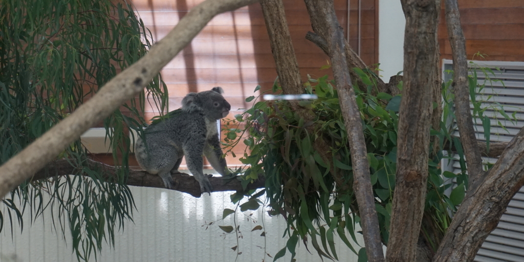 f:id:taroandjiro:20180701224308j:plain f:id:taroandjiro:20180701224308j:plain