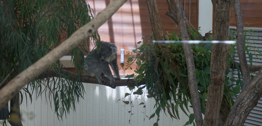 f:id:taroandjiro:20180701224336j:plain f:id:taroandjiro:20180701224336j:plain