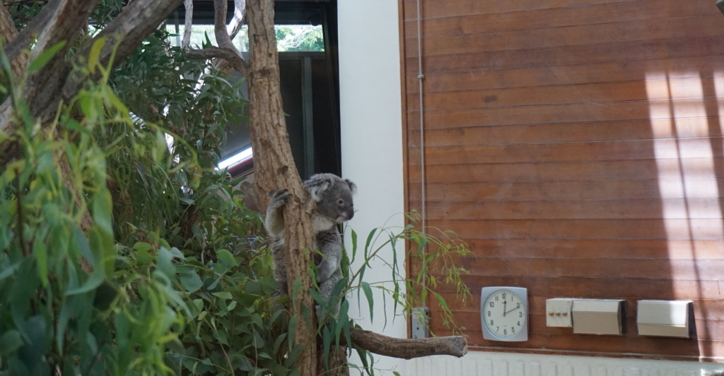 f:id:taroandjiro:20180701224437j:plain f:id:taroandjiro:20180701224437j:plain