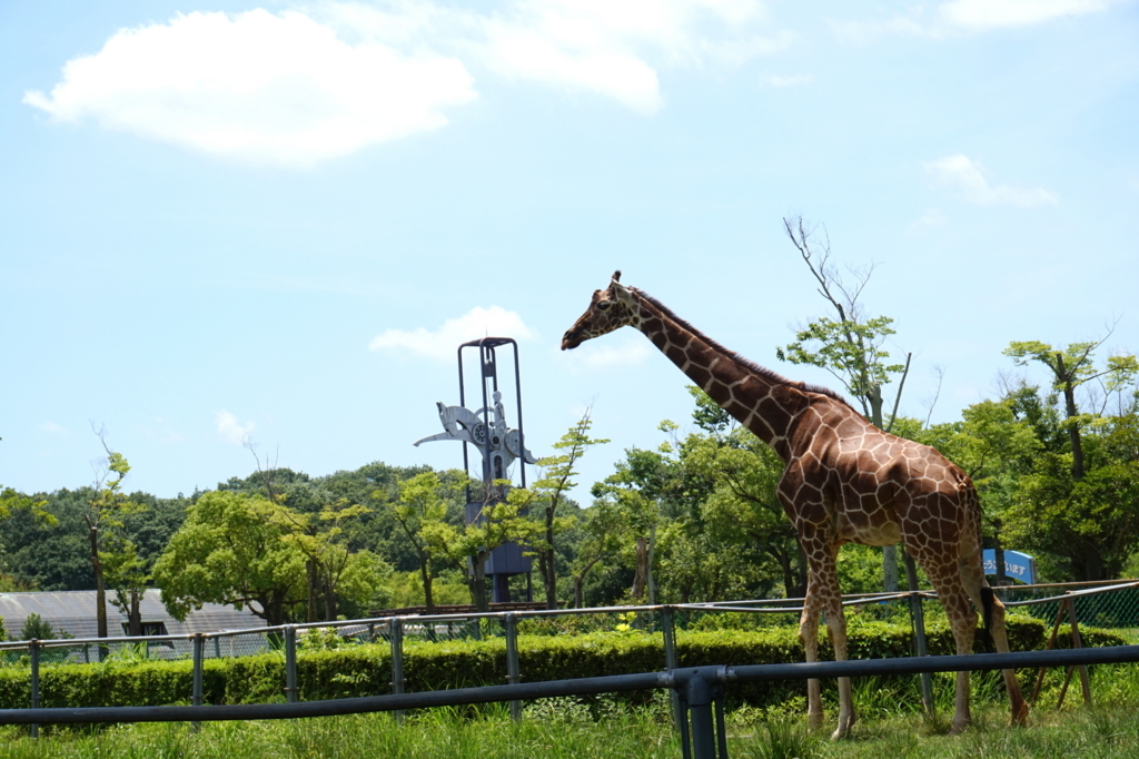 f:id:taroandjiro:20180701224918j:plain f:id:taroandjiro:20180701224918j:plain