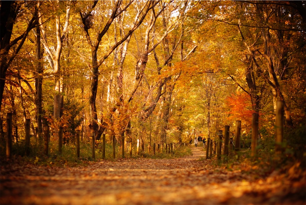 f:id:taroandjiro:20181230184515j:image f:id:taroandjiro:20181230184515j:image