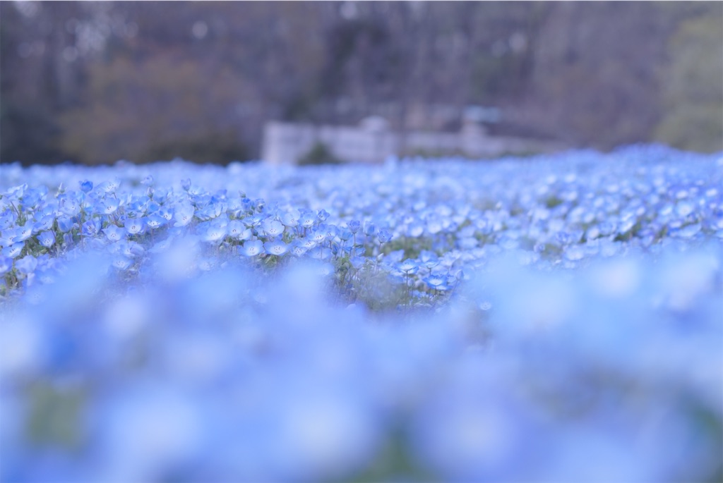 f:id:taroandjiro:20190410191821j:image f:id:taroandjiro:20190410191821j:image