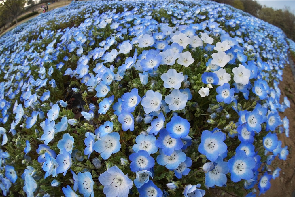 f:id:taroandjiro:20190410191847j:image f:id:taroandjiro:20190410191847j:image