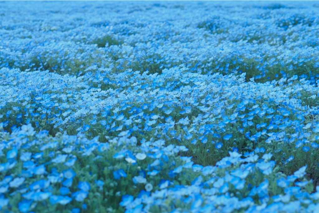 f:id:taroandjiro:20190410192151j:image f:id:taroandjiro:20190410192151j:image