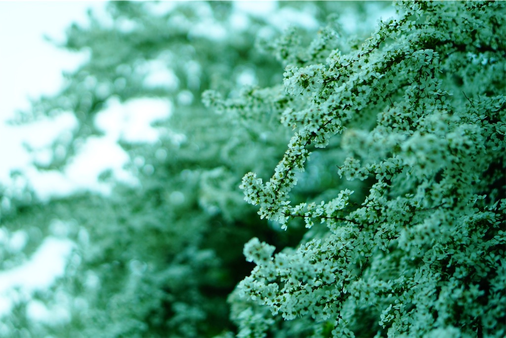 f:id:taroandjiro:20190410202957j:image f:id:taroandjiro:20190410202957j:image