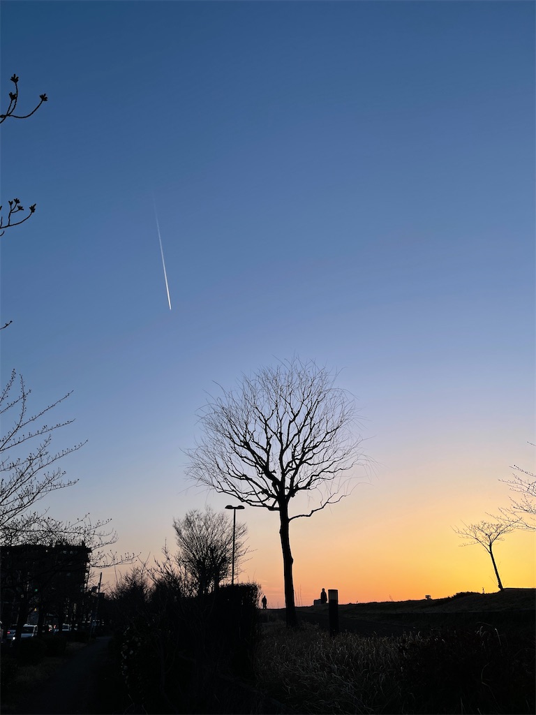 f:id:tarobue:20210324032013j:image