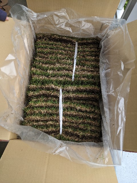 f:id:tarohanapapa:20230513145901j:image f:id:tarohanapapa:20230513145901j:image