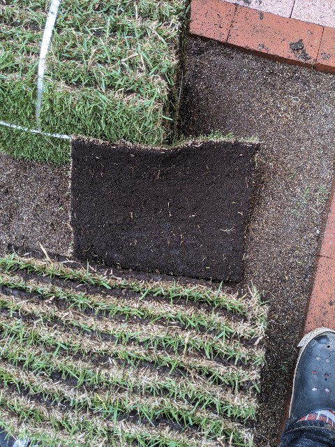 f:id:tarohanapapa:20230513145941j:image f:id:tarohanapapa:20230513145941j:image