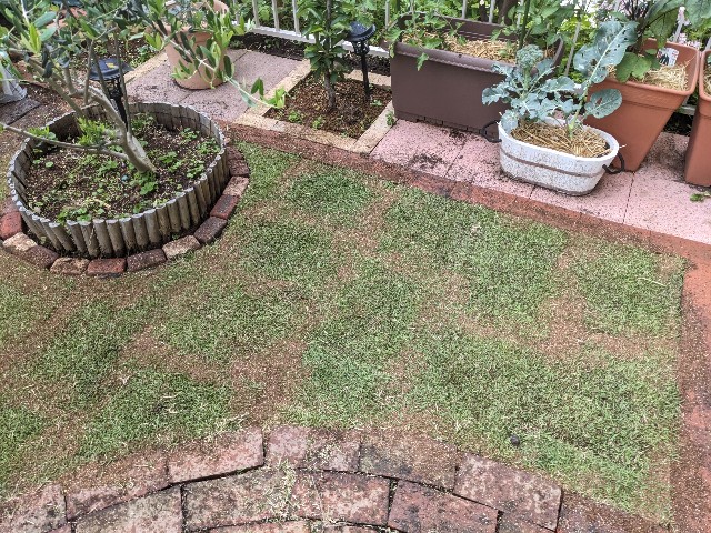 f:id:tarohanapapa:20230513150139j:image f:id:tarohanapapa:20230513150139j:image