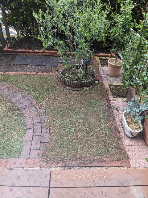 f:id:tarohanapapa:20230513150815j:image f:id:tarohanapapa:20230513150815j:image