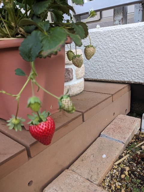 f:id:tarohanapapa:20230613200127j:image f:id:tarohanapapa:20230613200127j:image