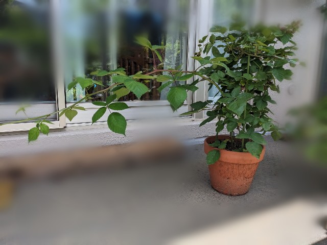 f:id:tarohanapapa:20230622223056j:image