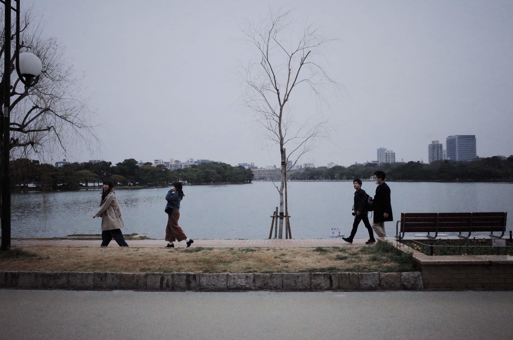 f:id:taroimo0629kuro:20190305002013j:plain f:id:taroimo0629kuro:20190305002013j:plain