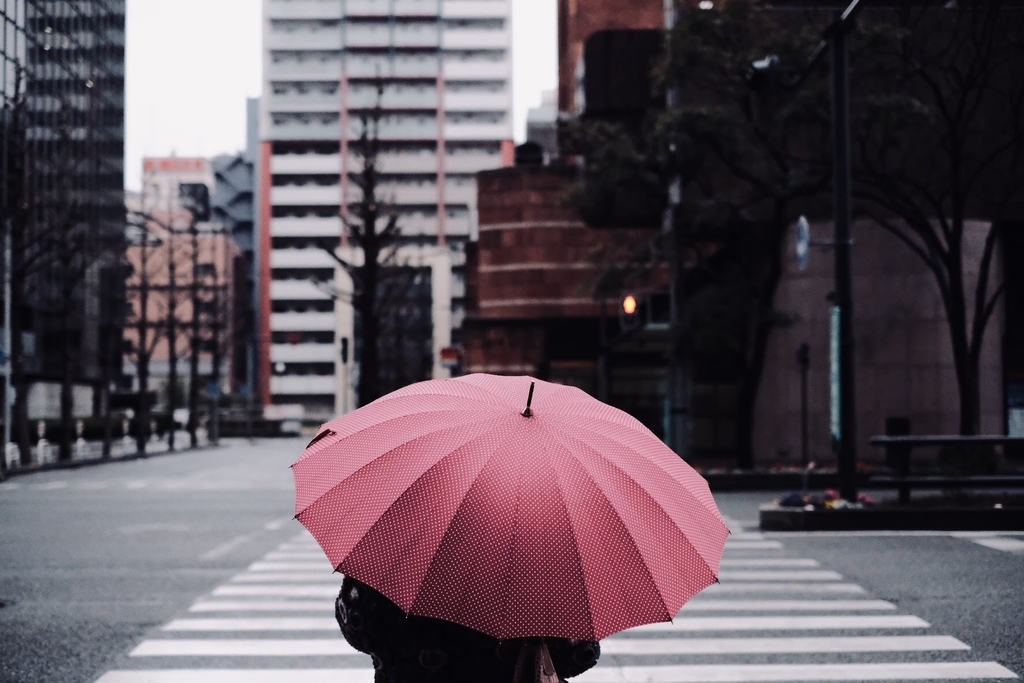 f:id:taroimo0629kuro:20190305003103j:plain f:id:taroimo0629kuro:20190305003103j:plain