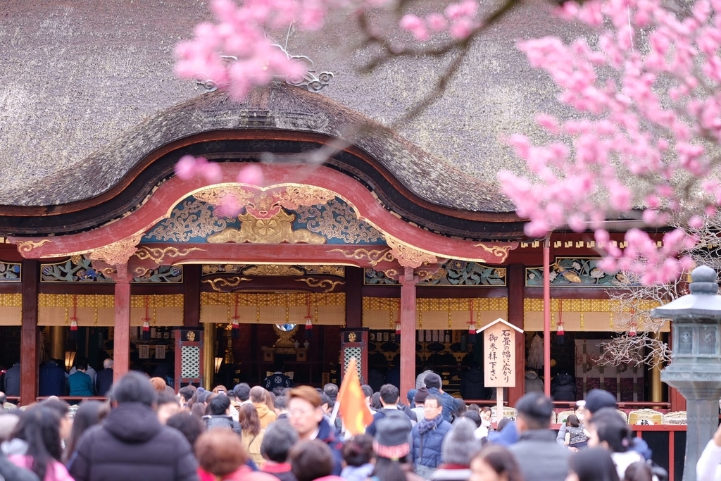 f:id:taroimo0629kuro:20190305004418j:plain f:id:taroimo0629kuro:20190305004418j:plain