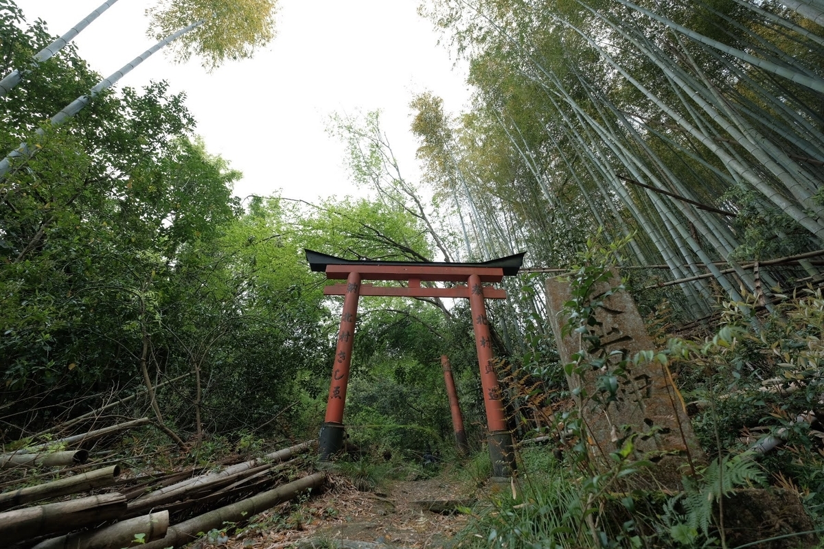 f:id:taroimo0629kuro:20190503155456j:plain f:id:taroimo0629kuro:20190503155456j:plain