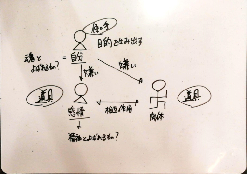自分の構成要素について ひとつの考え方 むじゃき