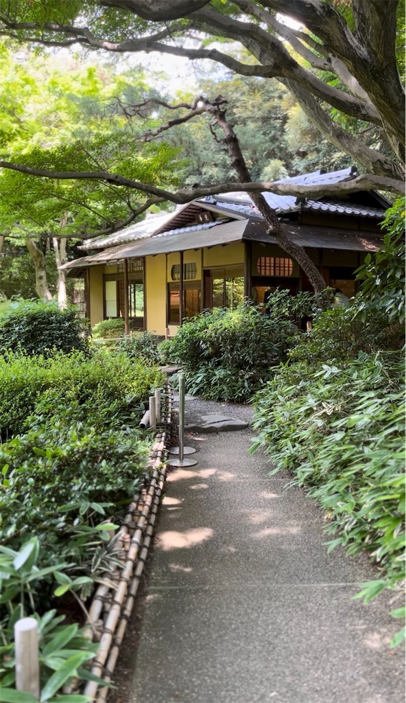 f:id:taroimoimo:20250624094742j:image