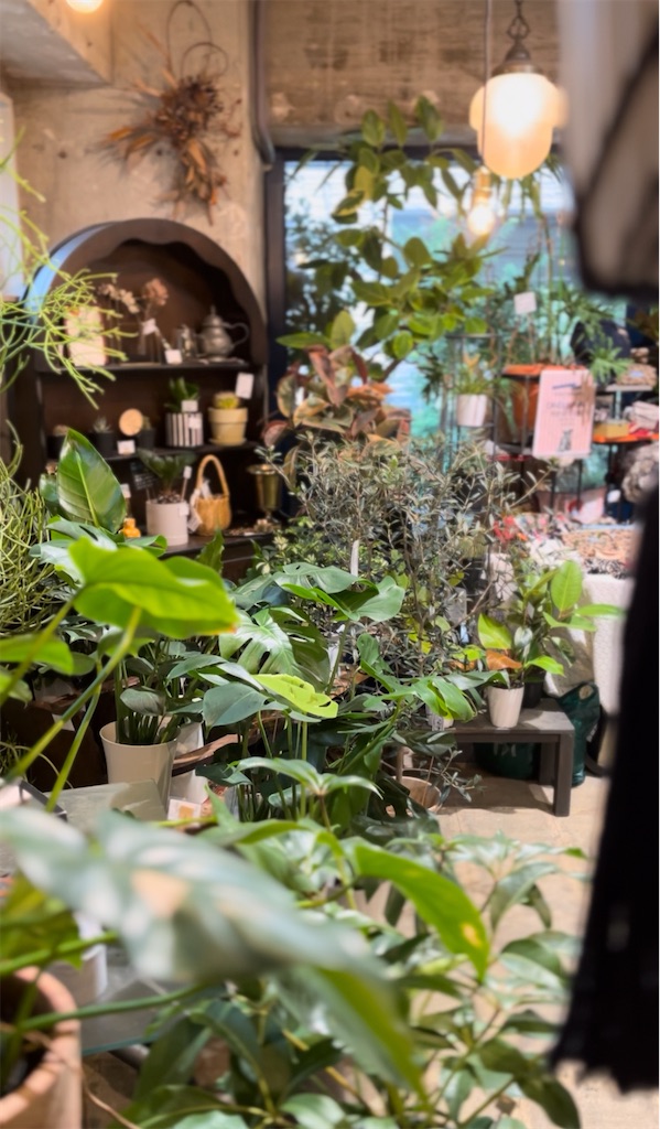 f:id:taroimoimo:20251029143005j:image f:id:taroimoimo:20251029143005j:image