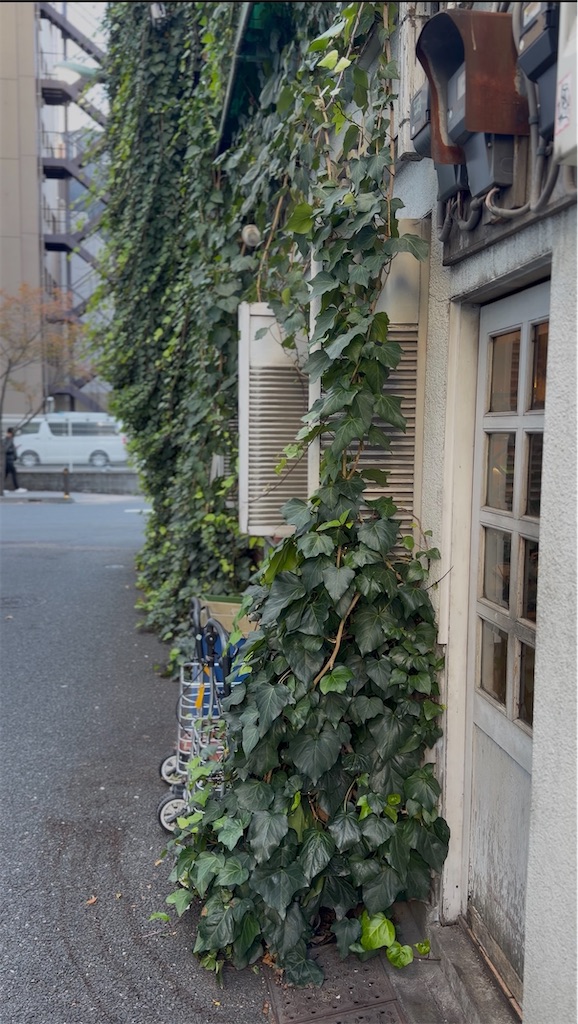 f:id:taroimoimo:20251125144856j:image