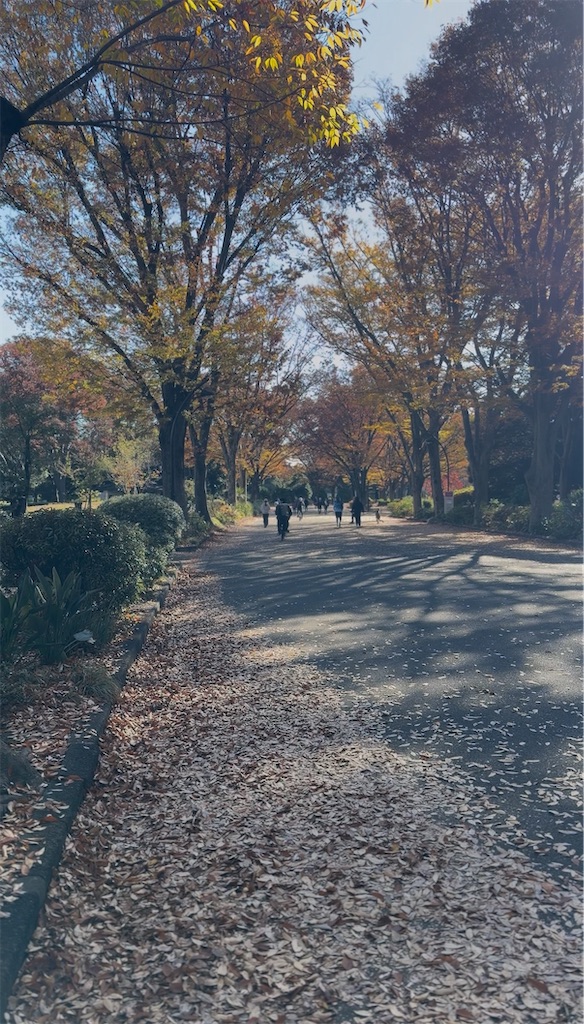 f:id:taroimoimo:20251126124348j:image