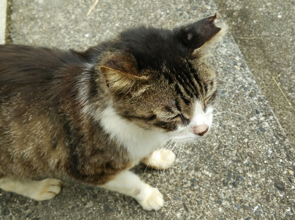 f:id:tarojiroko:20160626095112j:plain