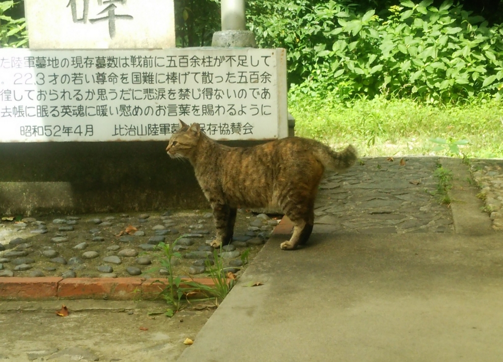 f:id:tarojiroko:20160703092654j:plain