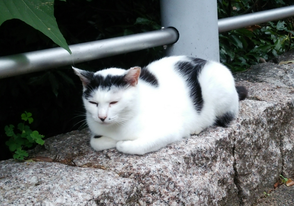 f:id:tarojiroko:20160712104627j:plain