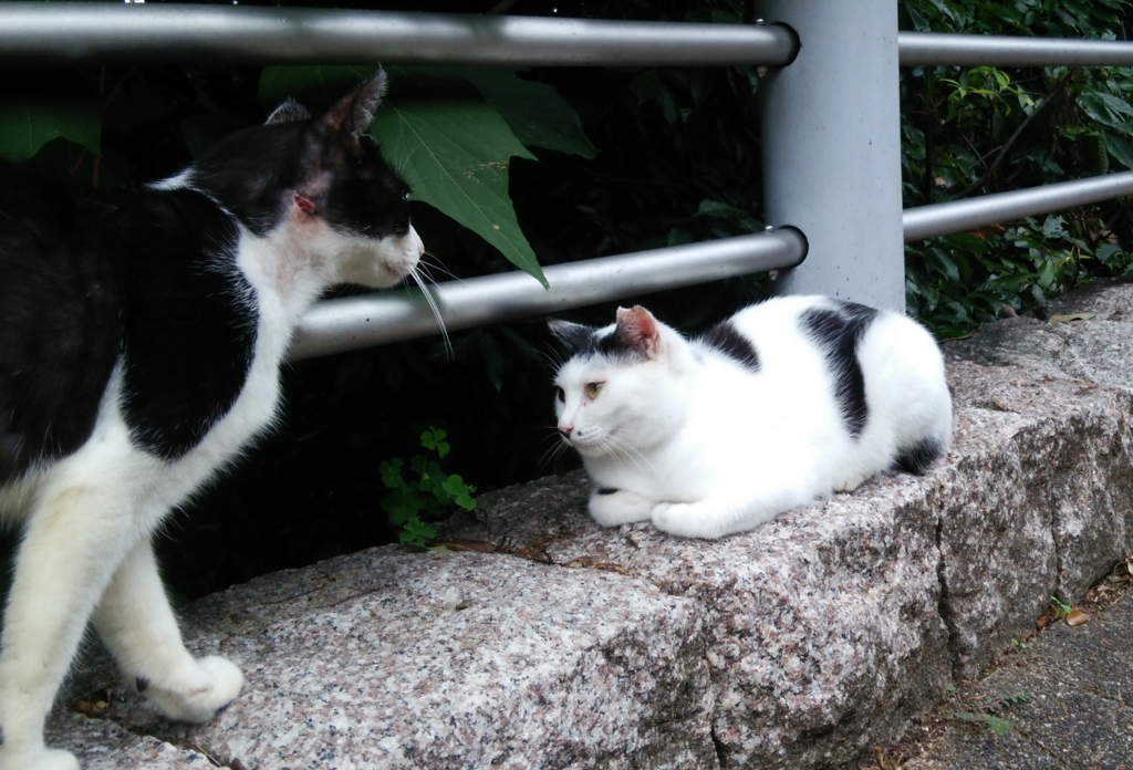f:id:tarojiroko:20160712104629j:plain