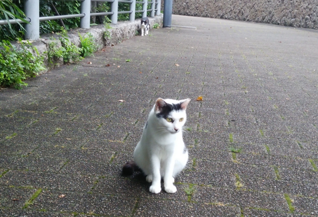f:id:tarojiroko:20160712104813j:plain