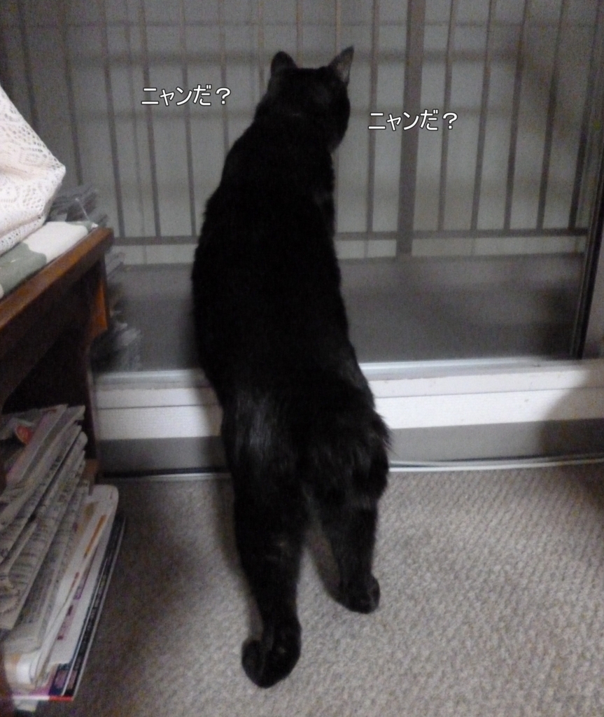 f:id:tarojiroko:20160715214702j:plain