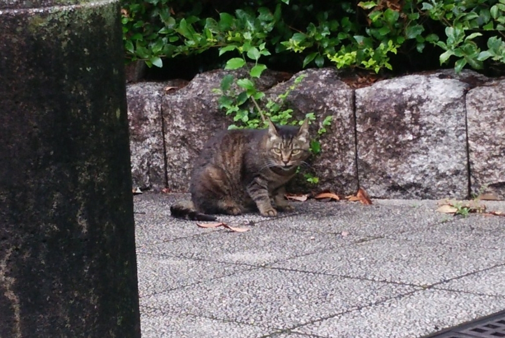 f:id:tarojiroko:20160717092345j:plain f:id:tarojiroko:20160717092345j:plain