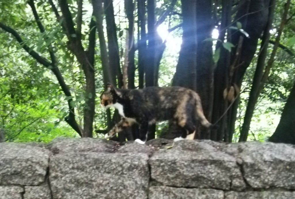 f:id:tarojiroko:20160717100728j:plain f:id:tarojiroko:20160717100728j:plain