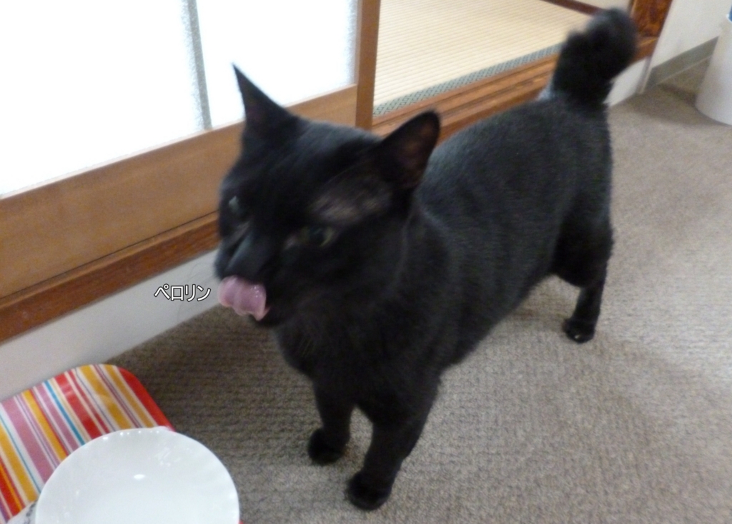 f:id:tarojiroko:20160722064542j:plain