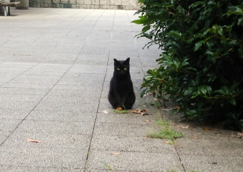 f:id:tarojiroko:20160724091245j:plain f:id:tarojiroko:20160724091245j:plain